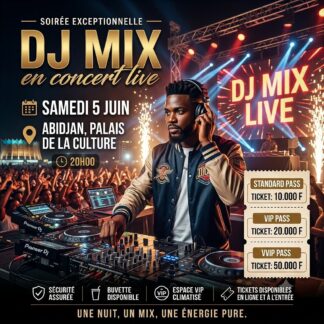DJ Mix en concert live